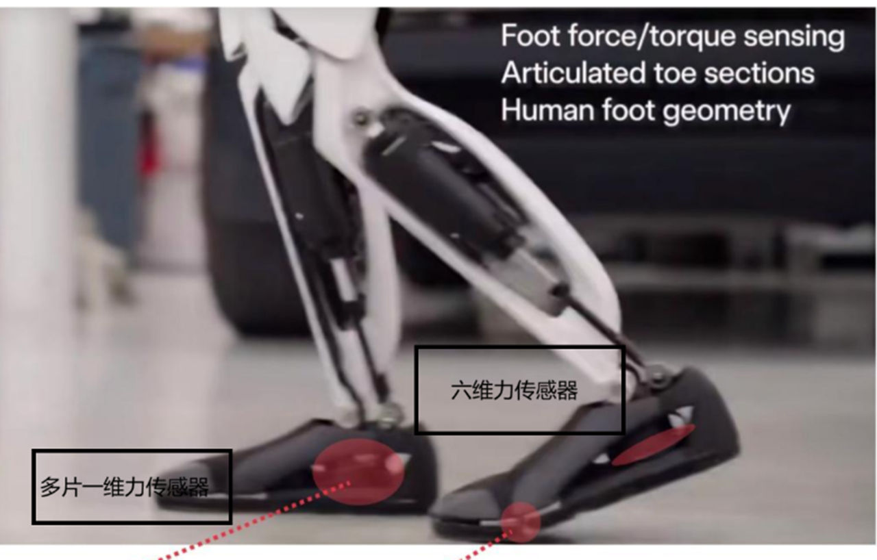 图1 特斯拉 Optimus 2 代的足底维力传感器分布