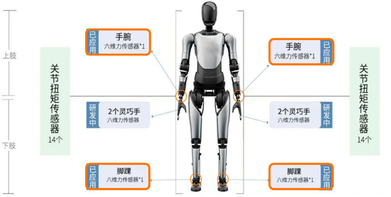 图2 六维力传感器人形机器人应用分布