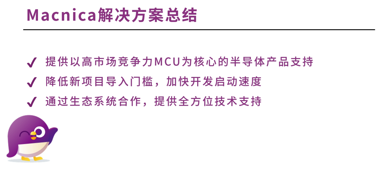 图6 Macnica 解决方案总结